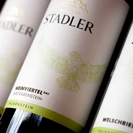 民宿 Weingut Stadler *