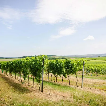 Проживание в семье Weingut Stadler Falkenstein