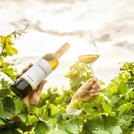 Weingut Stadler *