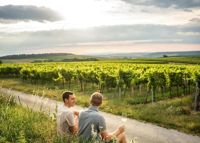 Weingut Stadler * Falkenstein