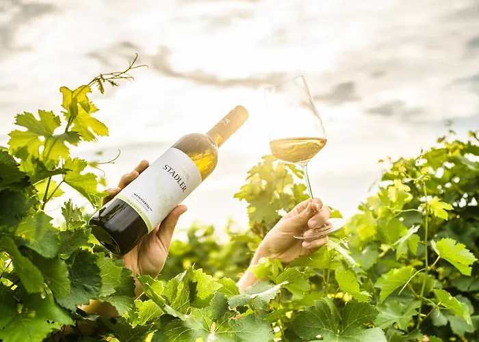 Weingut Stadler *